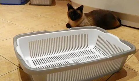 Кошачий туалет без наполнителя
