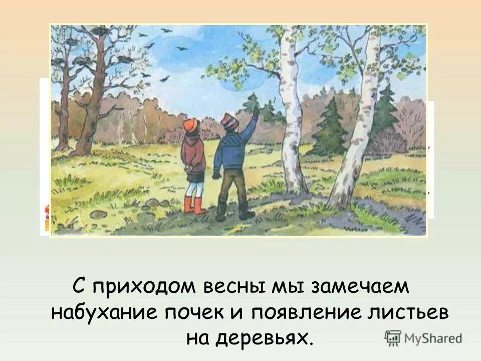 Изменения с приходом весны. Весенние изменения в природе. Изменения в природе с приходом весны. Весенние изменения в природе 2 класс.