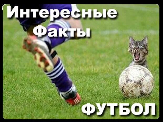 Интересные факты о футболе для детей. Факты о футболе. Интересные факты о футболе. Футбол забавные факты. Интересные факты футбольные.
