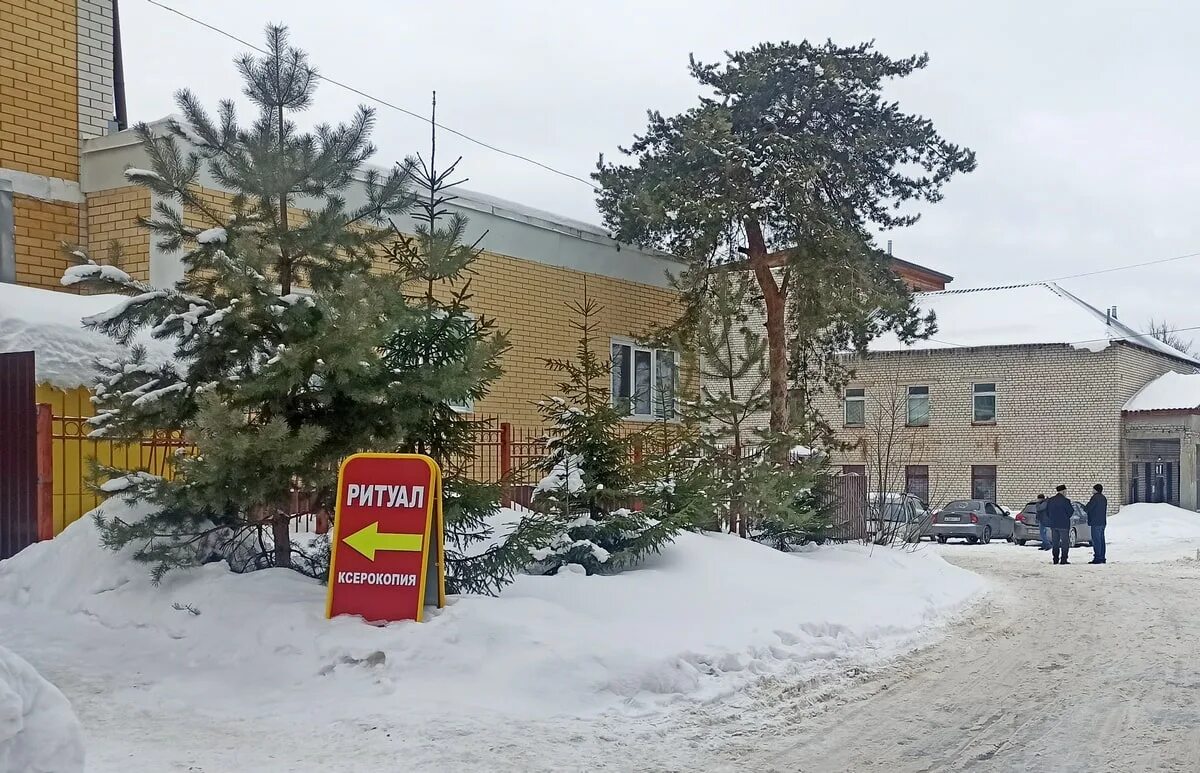 Владимиро-Александровское больница. Город Александров детская больница. В Александровском районе.