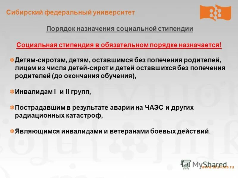 порядок назначения государственной социальной помощи анимация. выплата социальных стипендий студентам. государственная академическая стипендия студентам. порядок назначения социальной стипендии студентам. порядок выплаты социальной стипендии студентам.