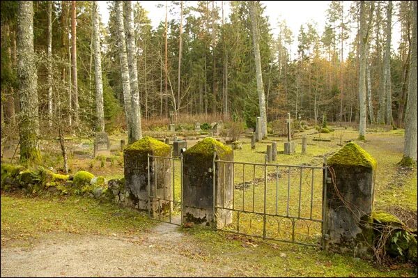 тимирязевский парк москва кладбище. кладбище гленкри ирландия. маленькое кладбище. маленькое кладбище. маленькое кладбище.