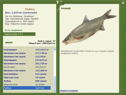 Поймает какое время