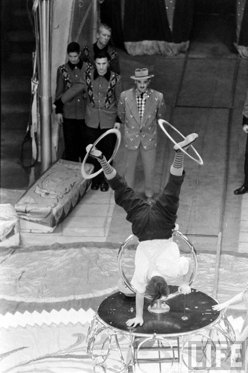 Ночной цирк. Циркус 19 века. Костюмы для цирковых номеров. Бродячий цирк. Фотограф в цирке.