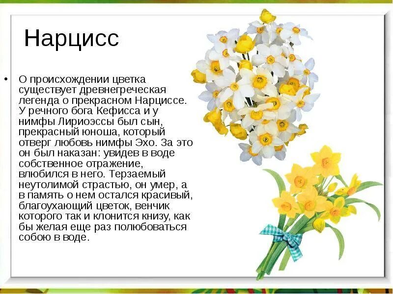 История про цветы