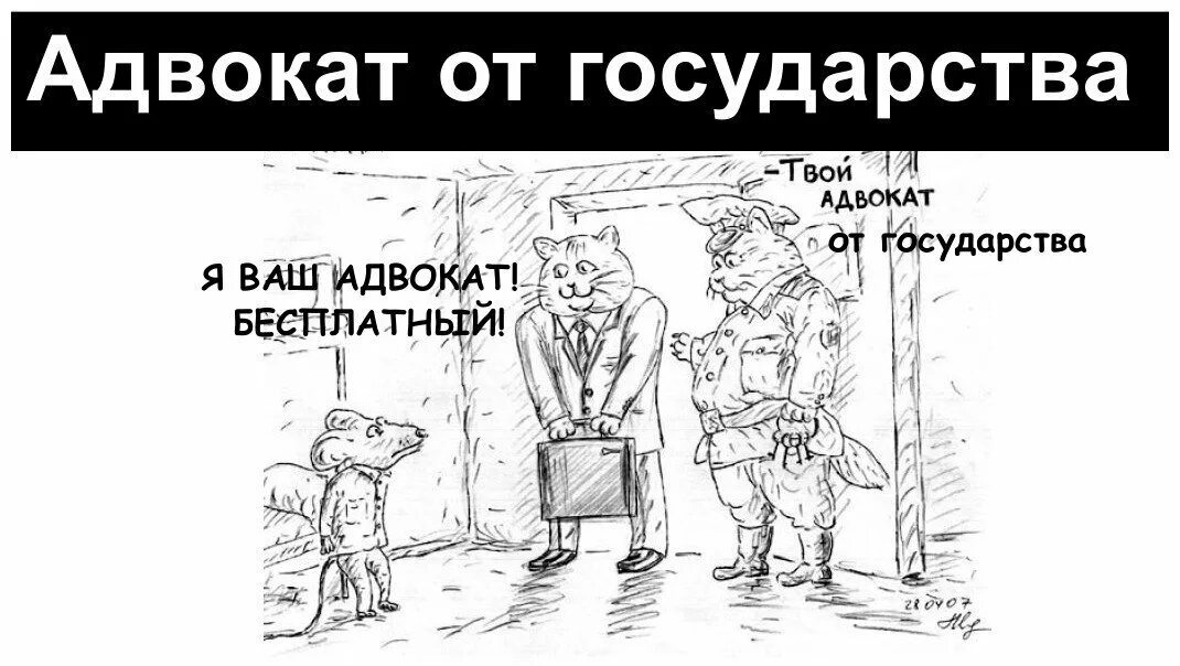 Суды и несчастья