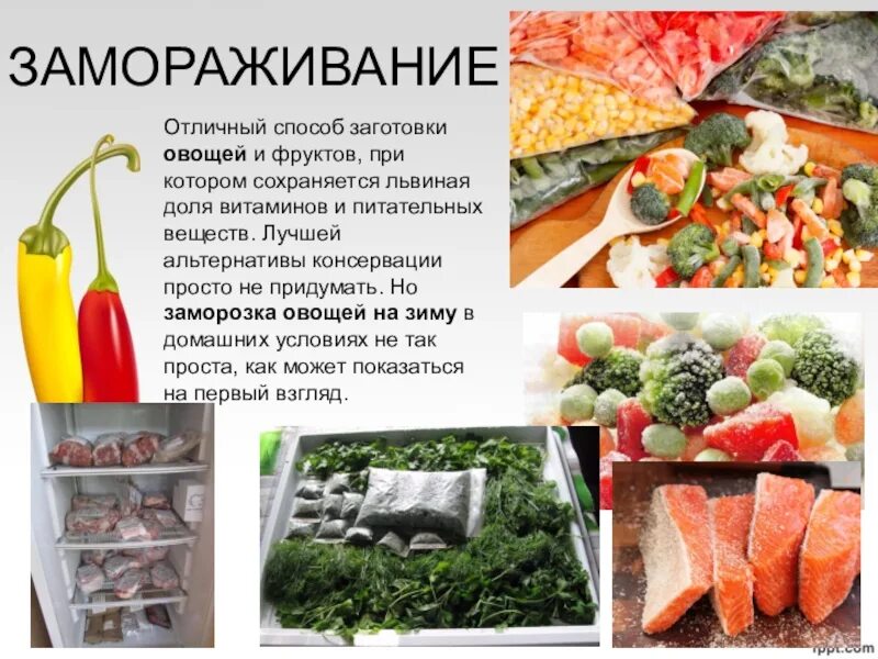 Правила заморозки. Способы заготовки продуктов. Способы заготовки овощей. Заготовки продуктов Замораживание. Способы заготовки продуктов на зиму.