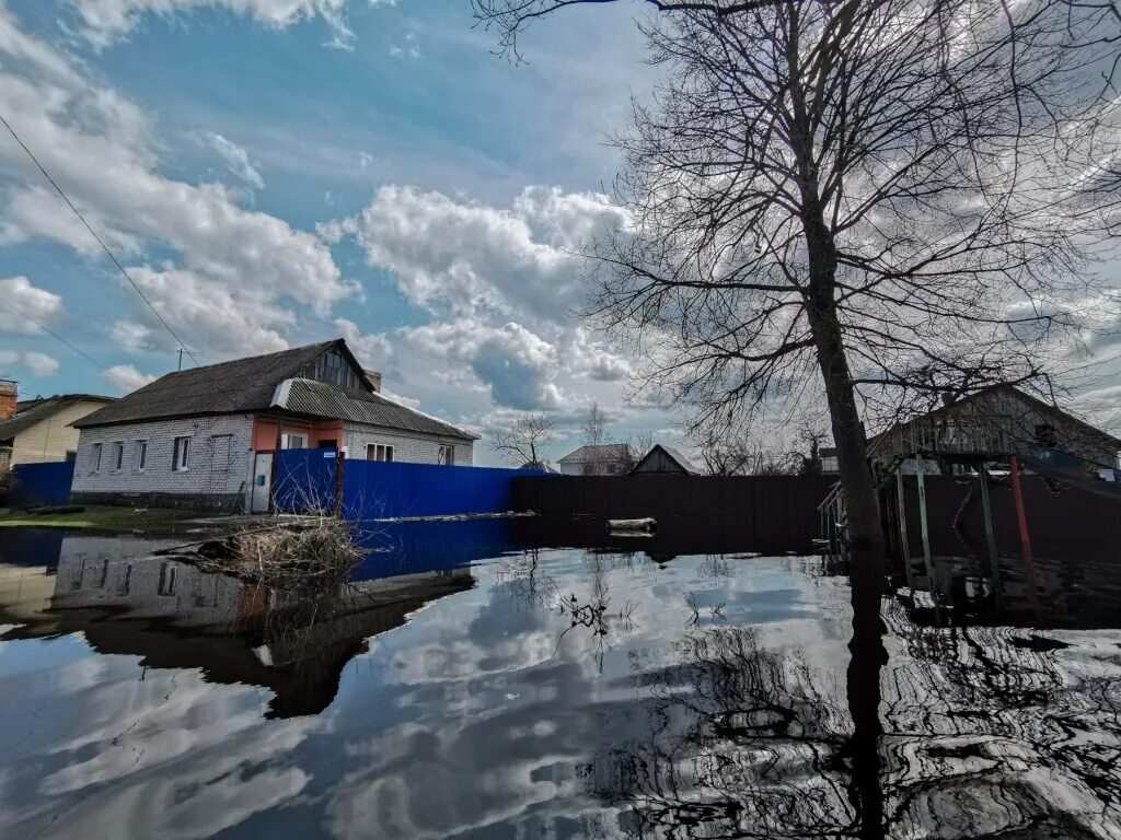 Подъем воды в брянске сегодня. Радица-Крыловка Брянск. Радица-Крыловка Брянская область наводнение. Уровень воды в Десне. Брянская область затопление.