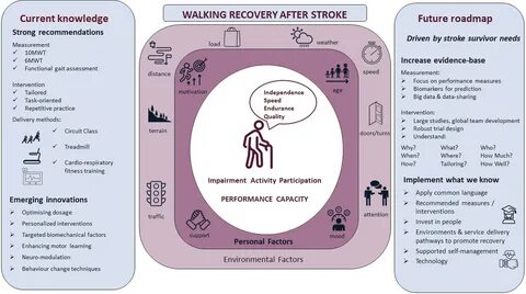 Evidence for Walking Recovery After Stroke, Future Pathways and a Mission f...