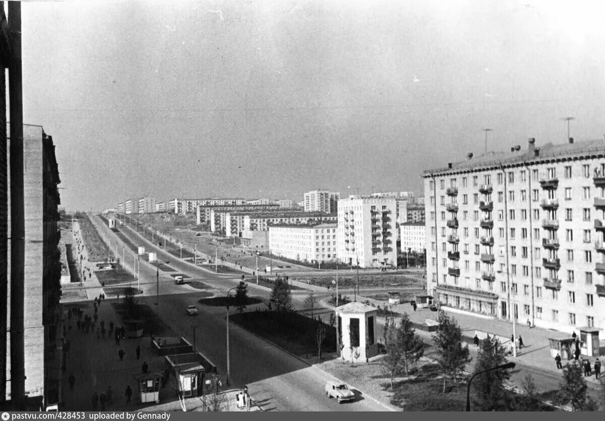 DSC07989.JPG - Просмотр картинки - Хостинг картинок, изображений и фотоальбомов