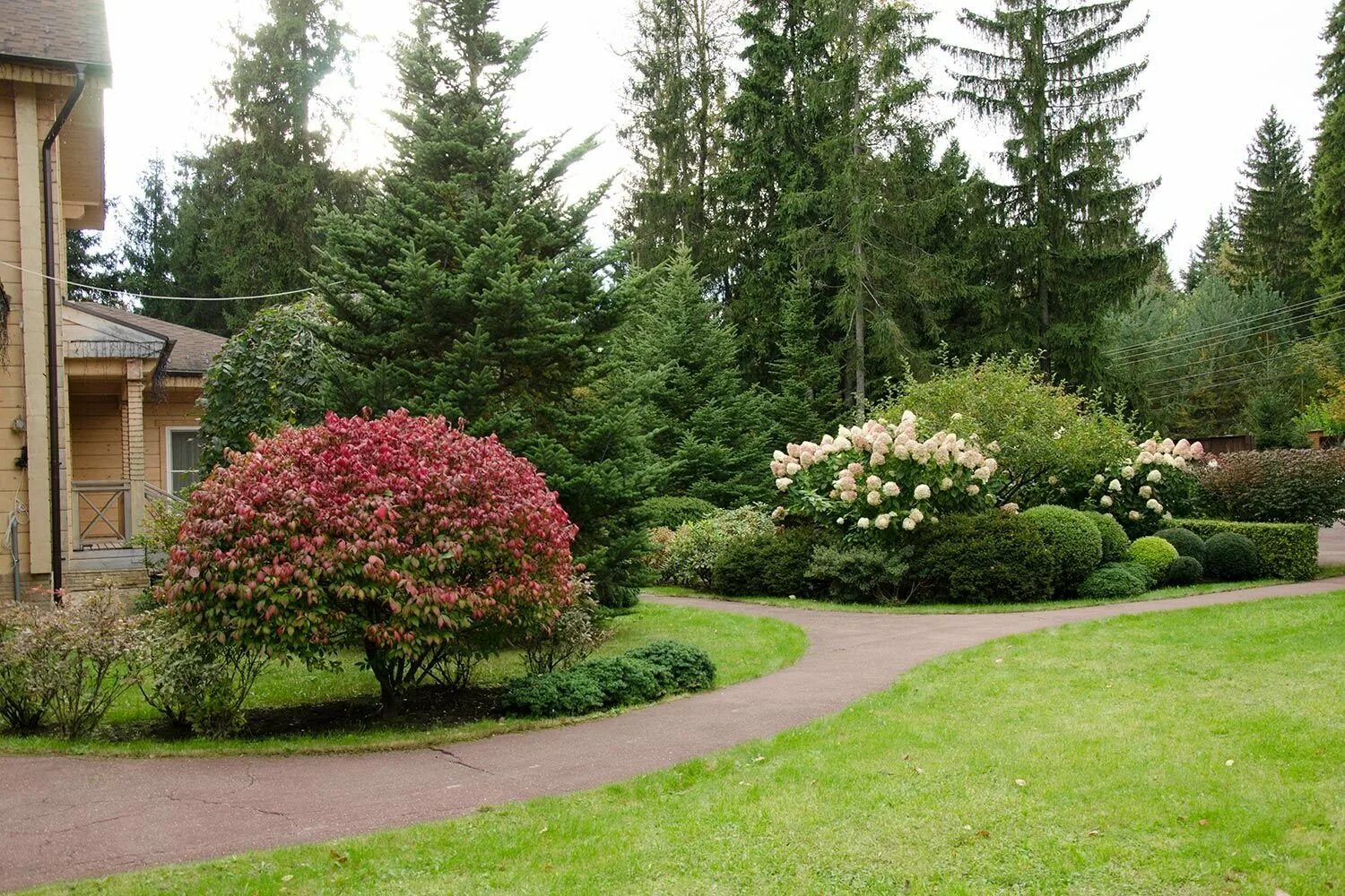 Ландшафтный 3и-айн. Приствольный круг вокруг яблони. Какой сад посадить. Ель колючая монтгомери. Хвойники и спирея японская в ландшафтном.