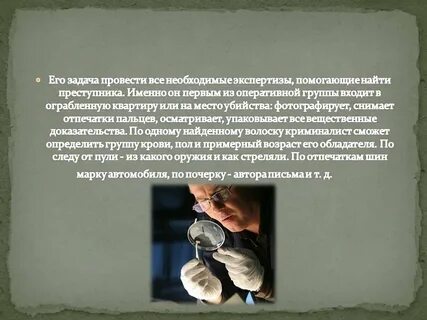 Как становятся криминалистами