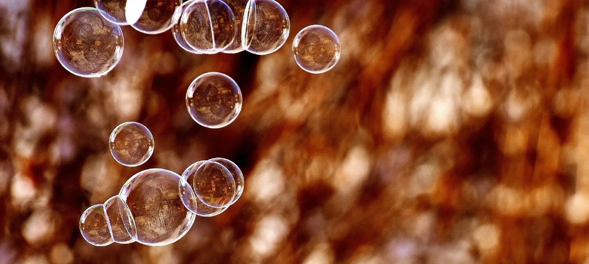 Пузырек представляет собой. Природа пузырьки. Красивые пузыри. Мыльные пузыри баночка. Мыльные пузыри на коричневом фоне.