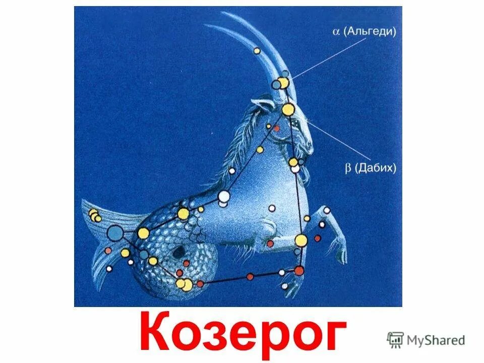 Созвездие рог. Созвездие козерога. Созвездие козерога рисунок. Созвездие Козерог для детей. Козерог Созвездие схема.