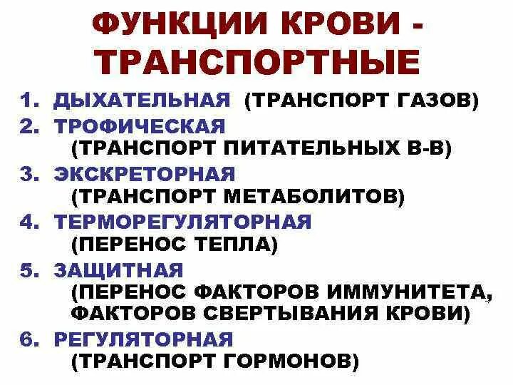 Нервная система выполняет следующую функцию транспорт питательных. Нервная система выполняет следующую функцию транспорт питательных
