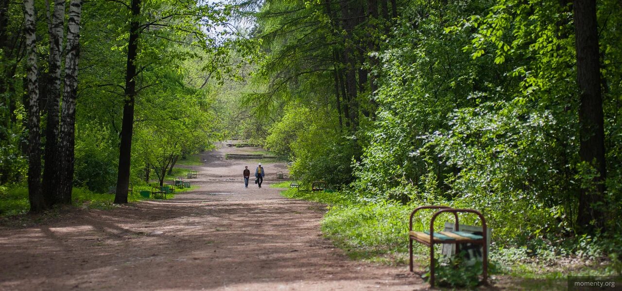 Лесопарк каменные палатки екатеринбург. Шарташские каменные палатки екатеринбург. Свердловская область екатеринбург улица отдыха шарташский лесопарк. Шарташский лесопарк тропа здоровья. Шарташские каменные палатки екатеринбург.