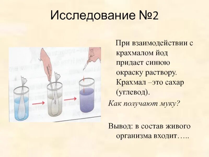 Опыт определяет модель. Опыт определение крахмала. Взаимодействие крахмала с йодом опыт. Опыты по биологии. Опыты по биологии с йодом и крахмалом.