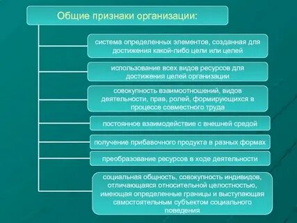 Основной признак лекции
