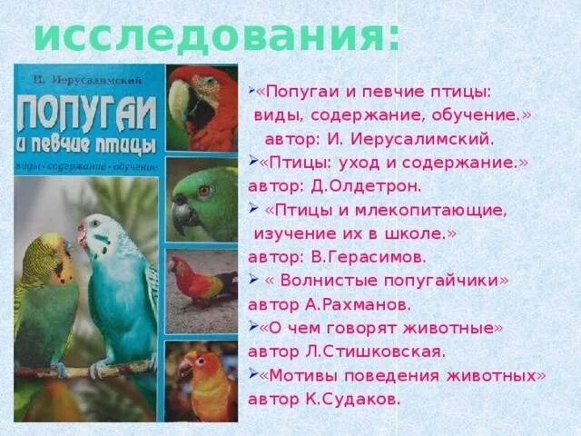 Попугай с вопросом. Буклет про попугаев. Исследование жизни попугаев. Описание попугая. Попугай попугаю скороговорка