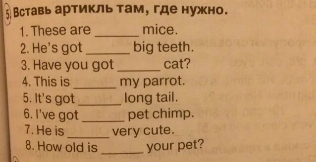 Вставить пропущенные артикли. Вставь артик а там,где нужно. Вставь артикль a/an. Вставить нужный артикль там где требуется. Вставь артикли где необходимо английский.