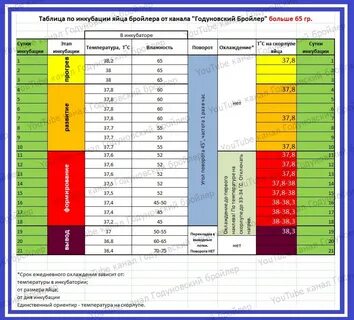 Инкубация мускусных уток в инкубаторе таблица.