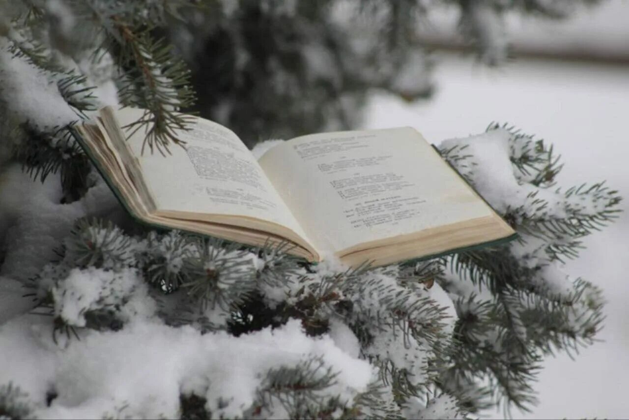 Январь писатели. Зимнее чтение. Книги зима. Книга на снегу. Книги зимой.