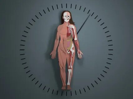 Последний год жизни человека