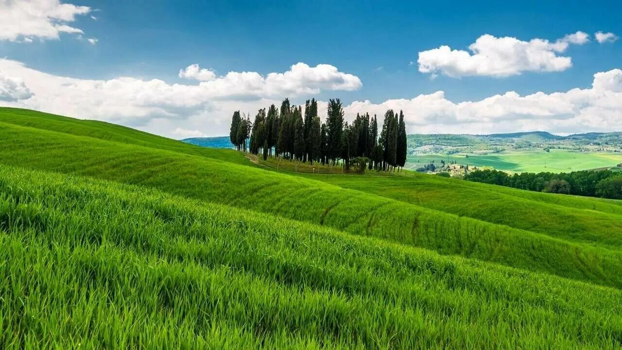 Зеленый луг купить. Тоскана Италия горы. Тоскана Италия Луга. Зеленое поле Тоскана. Тоскана зелень.
