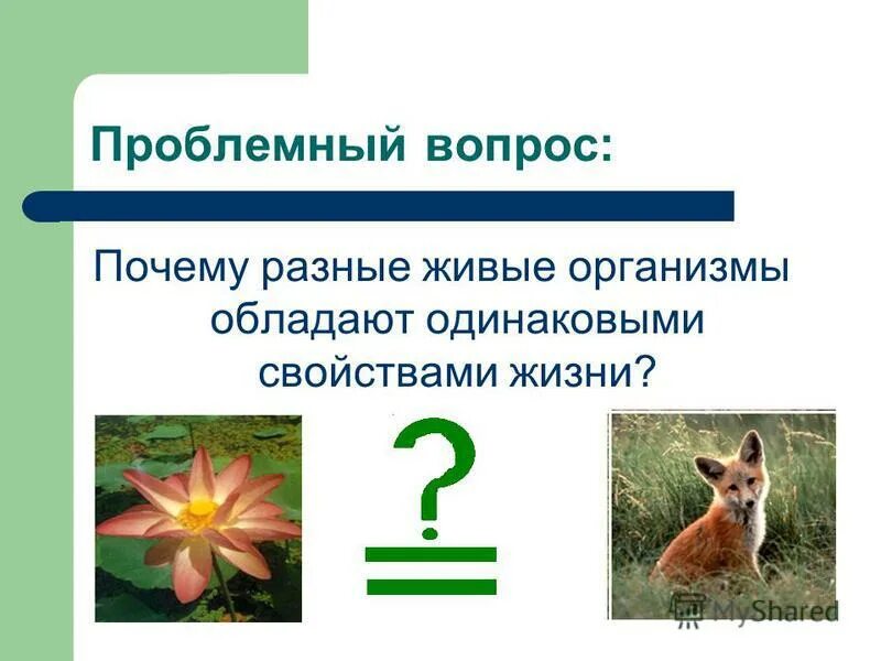 Клетоное строение н имеют. Состав живых организмов. Живые организмы обладают. Живые организмы обладают. Живые организмы обладают.