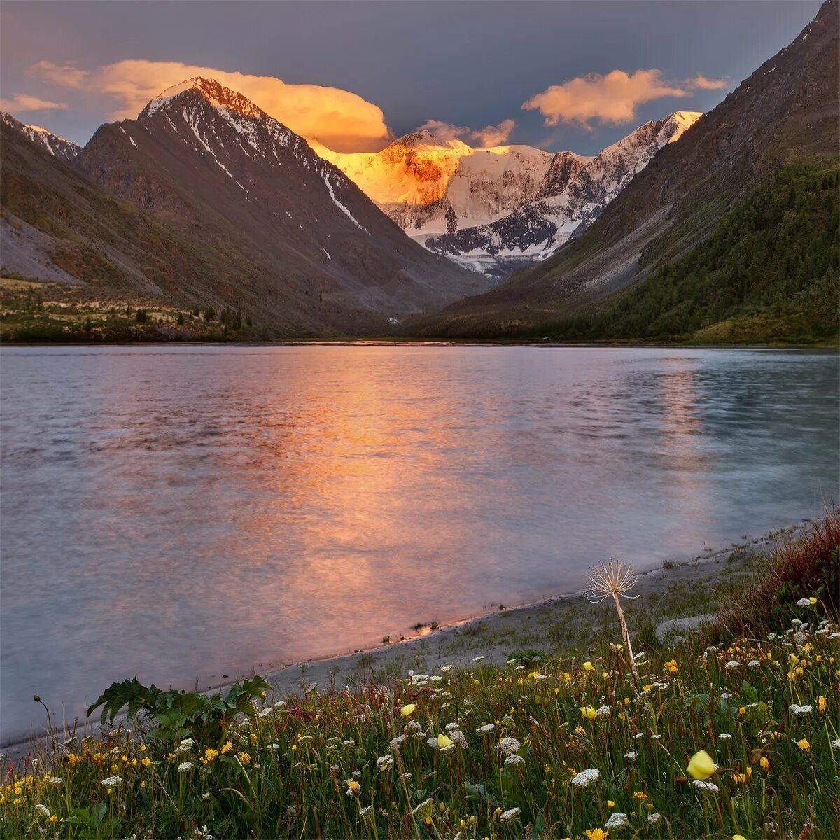 Гора Белуха, горный Алтай. Золотые горы Алтая Белуха. Горный Алтай озеро белух. Гора Белуха озеро.