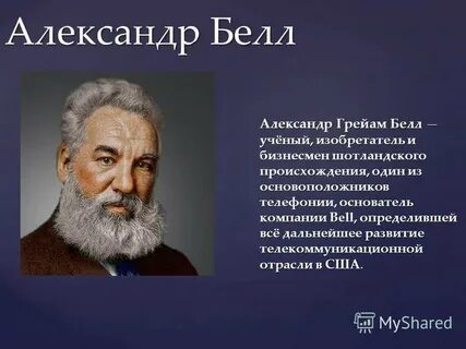 Бела краткое