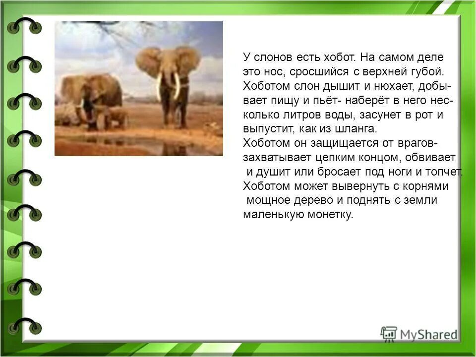 литературное чтение 3 класс 2 часть план слон куприн. "слон". слон 3 класс литературное чтение презентация. куприн а. и.