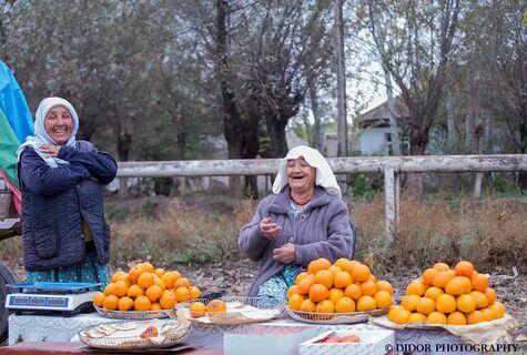 Погода таджикистан 10 ден