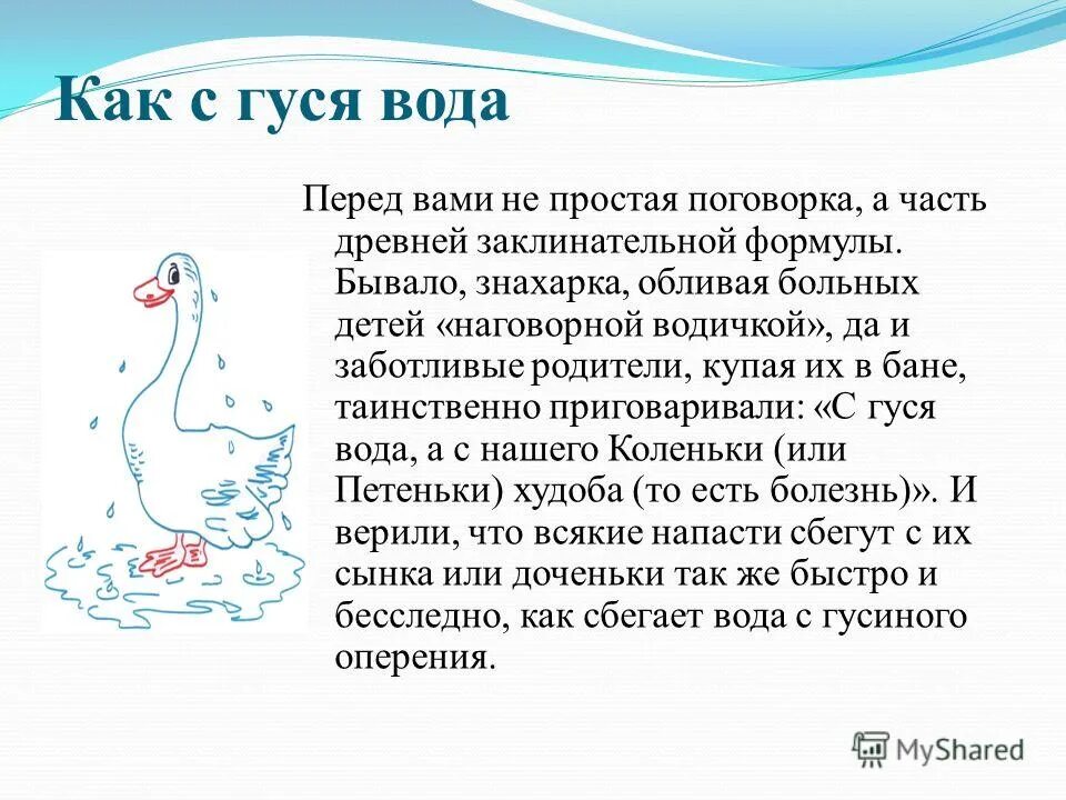 Предложения со словом водный. С гуся вода фразеологизм. Как с гуся вода. Как с гуся вода фразеологизм. Как с гуся вода значение фразеологизма.