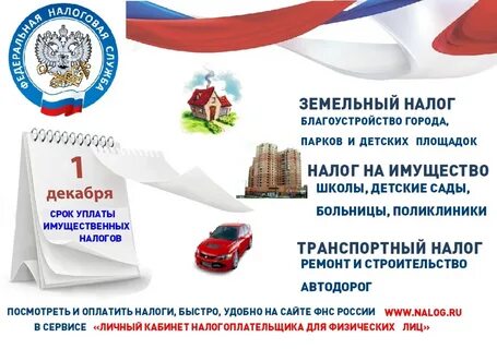 Узнать налоги за 2024 год