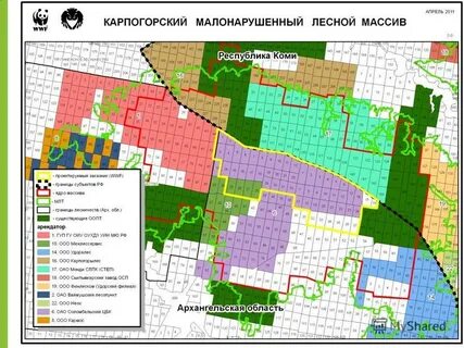 Регламент архангельского лесничества