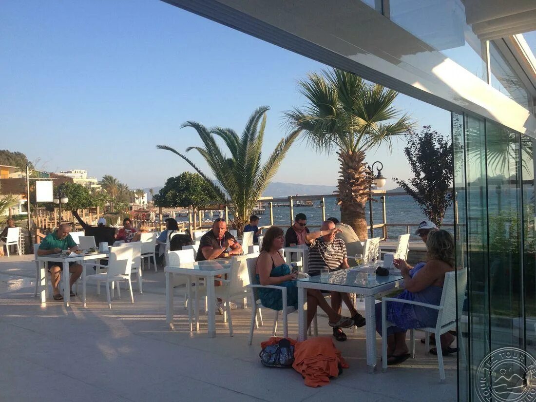 Dragut point south 4 бодрум. Dragut point north hotel. dragut point north 3 ***. dragut point north hotel 3 турция бодрум. dragut point south 4.
