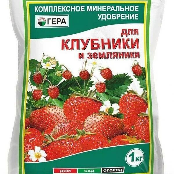 Подкормка рассады клубники. Удобрение для клубники. комплексное удобрение для клубники. минеральное удобрение для клубники. удобрение для земляники.