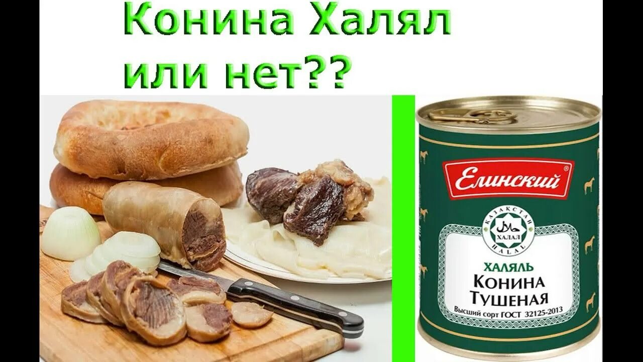 Лошадь хялял. Мусульманские запреты в еде. Животные халяль и харам. Мусульманам кушать конину. Мусульманам кушать конину.
