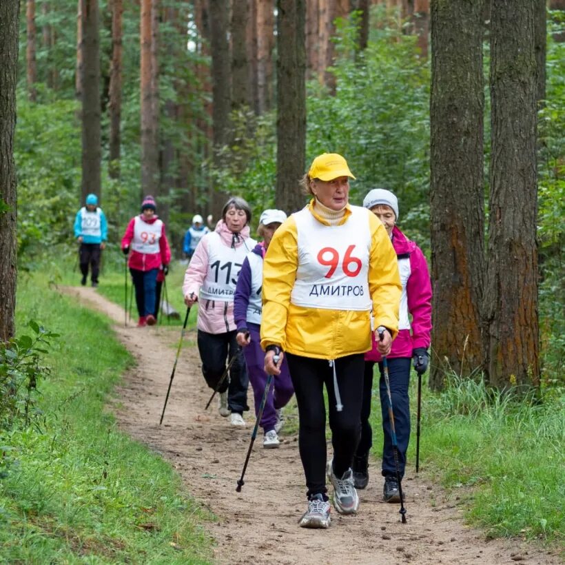 смельчак смелость ходить ходьба