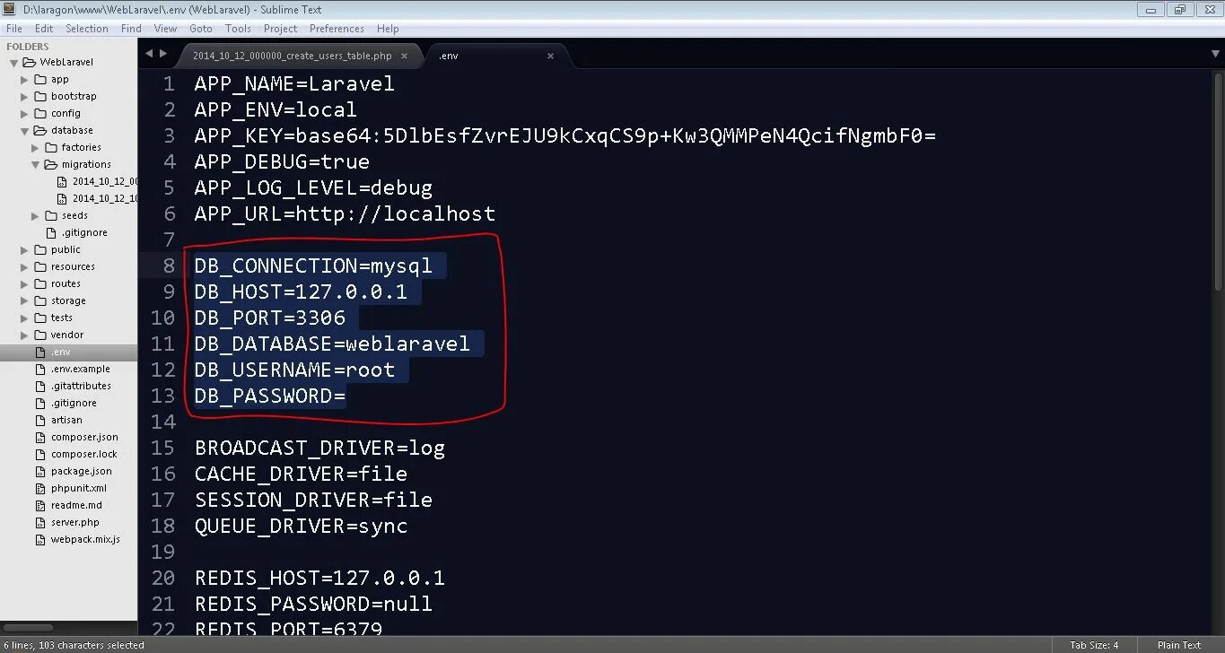 Env как использовать. Формат env. env file. env файл в laravel. как работает env.