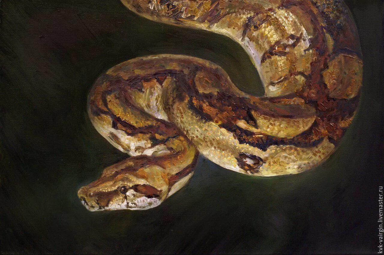 Змея картина