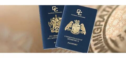 Цифровое гражданство доминики