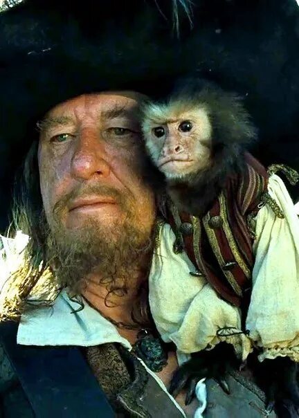 Обезьяна джек. Капитан Барбосса с обезьяной. Джек обезьяна Барбосса. Пираты Карибского моря мартышка. Капуцин Джек.