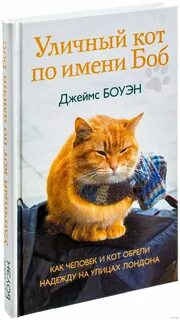 Имя боб