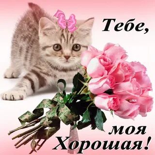 Картинки подруге жене