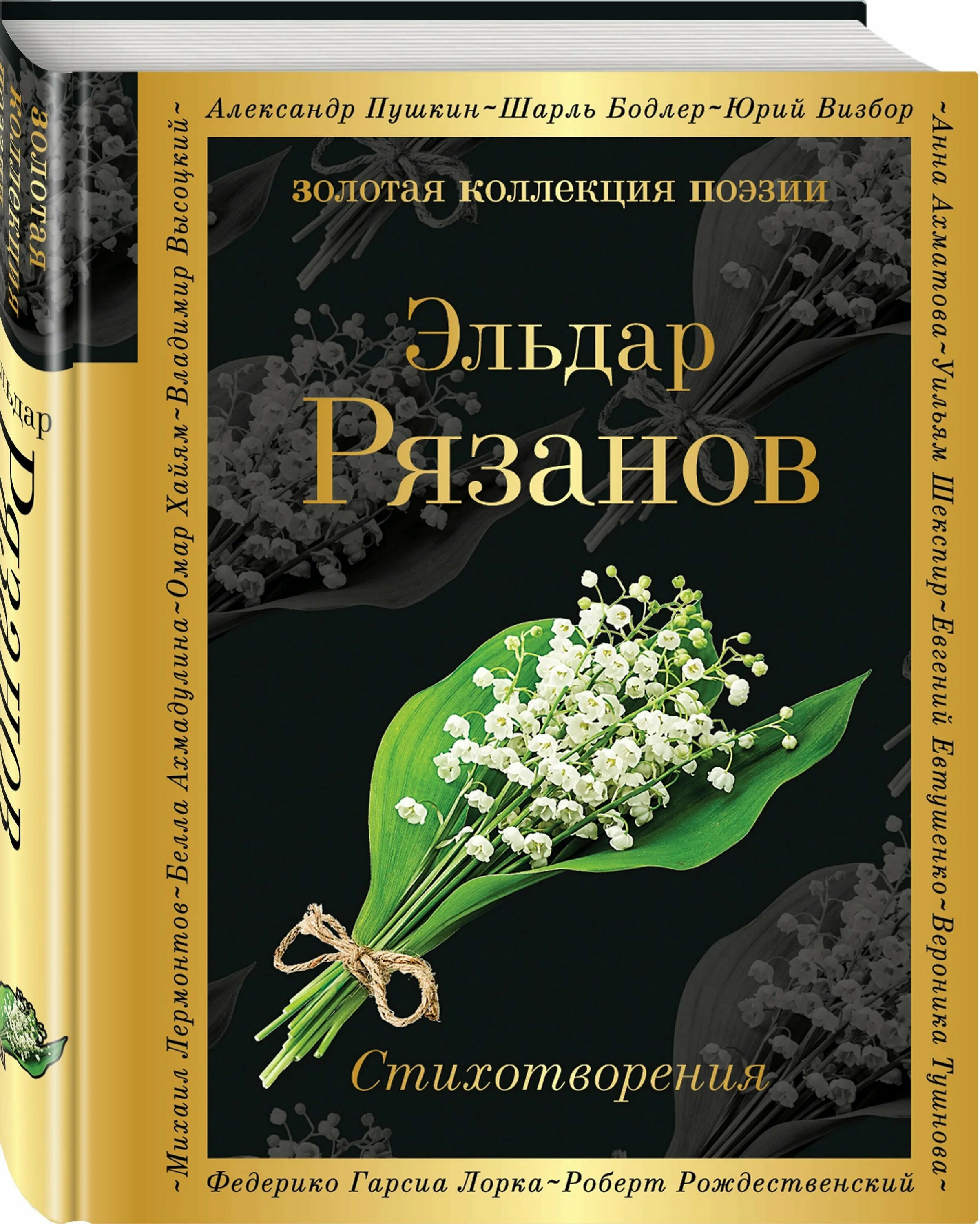 Русский в стихах книги