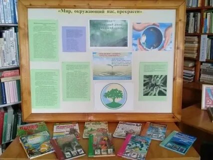 День охраны окружающей среды мероприятие в библиотеке