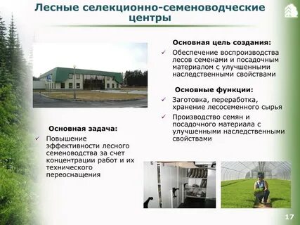 Создание объекта лесной инфраструктуры