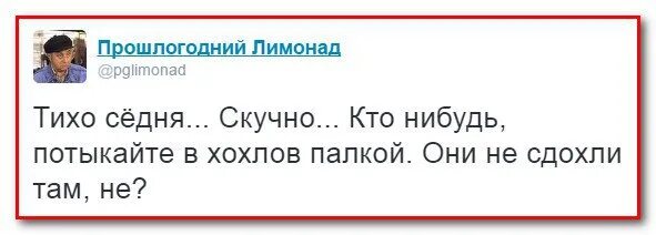 Хохлы вас опять алиса. Потыкайте Хохлов палкой. Ткните Хохлов палкой. Где хохлы потыкайте в них палкой. Хохлы демотиваторы.